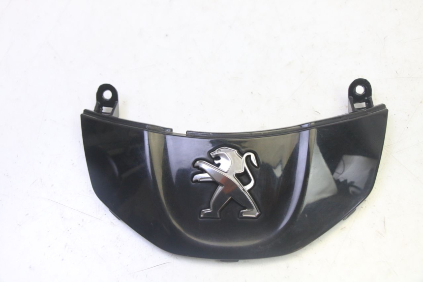 photo de VERKLEIDUNG VORNE MITTE PEUGEOT TWEET PRO CARGO 50 (2018 - 2020)