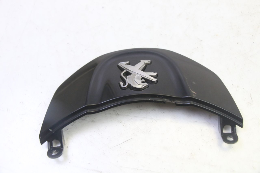 photo de VERKLEIDUNG VORNE MITTE PEUGEOT TWEET PRO CARGO 50 (2018 - 2020)