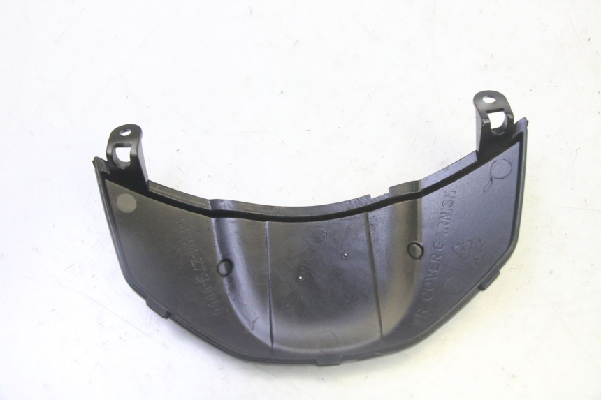 photo de VERKLEIDUNG VORNE MITTE PEUGEOT TWEET PRO CARGO 50 (2018 - 2020)