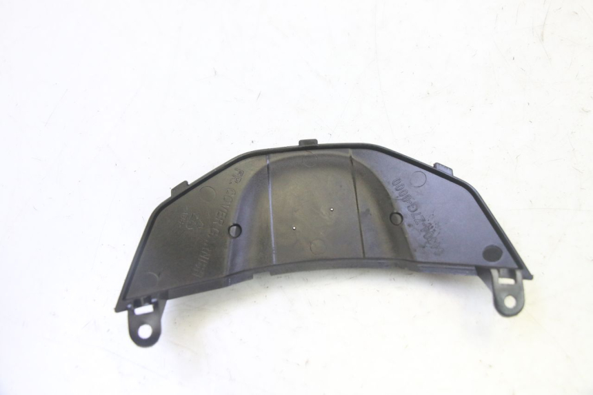 photo de VERKLEIDUNG VORNE MITTE PEUGEOT TWEET PRO CARGO 50 (2018 - 2020)