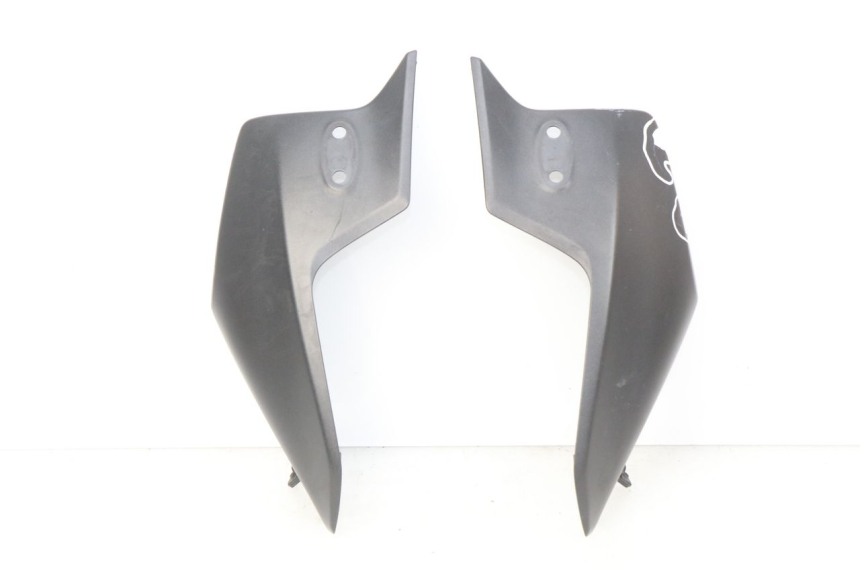 photo de VERKLEIDUNG VORNE MITTE HONDA CBRF CBR-F PC41 600 (2011 - 2013)