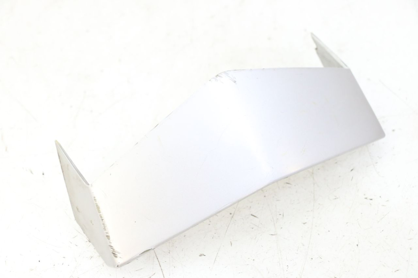 photo de VERKLEIDUNG VORNE MITTE PEUGEOT VIVACITY NEW 2T 50 (2008 - 2017)