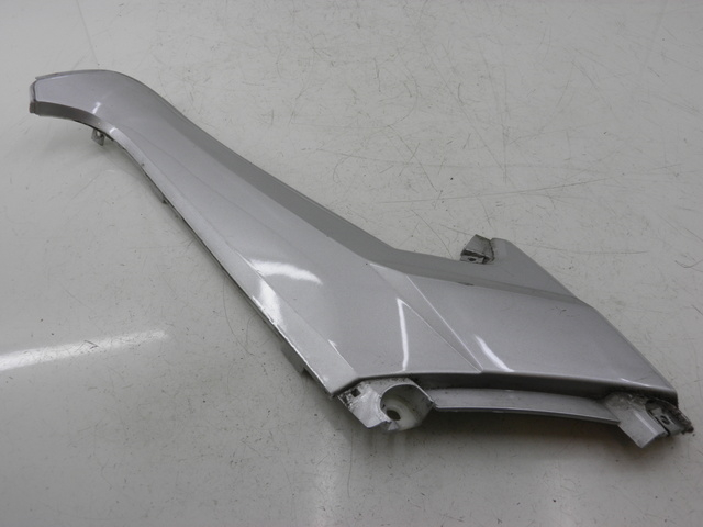 photo de TRITTBRETT VERKLEIDUNG MITTE RECHTS EUROCKA MATADOR 4T 50 (2010 - 2016) - Hauptansicht