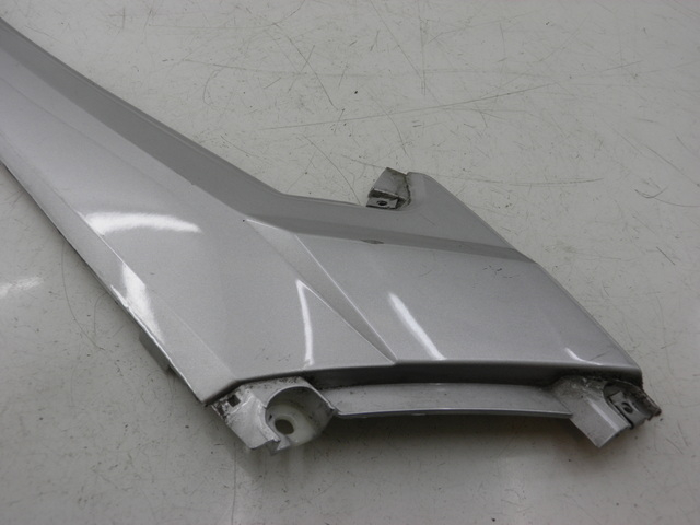 photo de TRITTBRETT VERKLEIDUNG MITTE RECHTS EUROCKA MATADOR 4T 50 (2010 - 2016) - Detailansicht des Bauteils