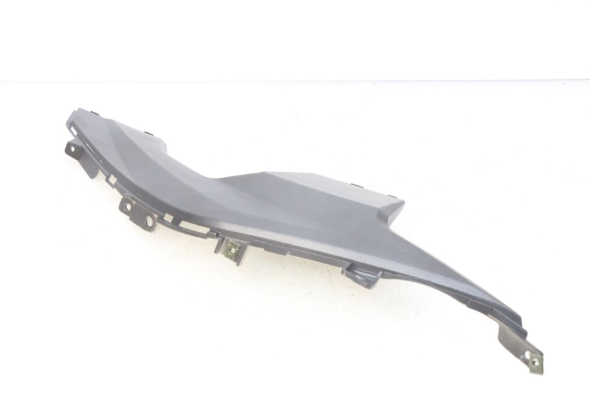 photo de TRITTBRETT VERKLEIDUNG MITTE RECHTS NECO GPX 4T 50 (2018 - 2022)