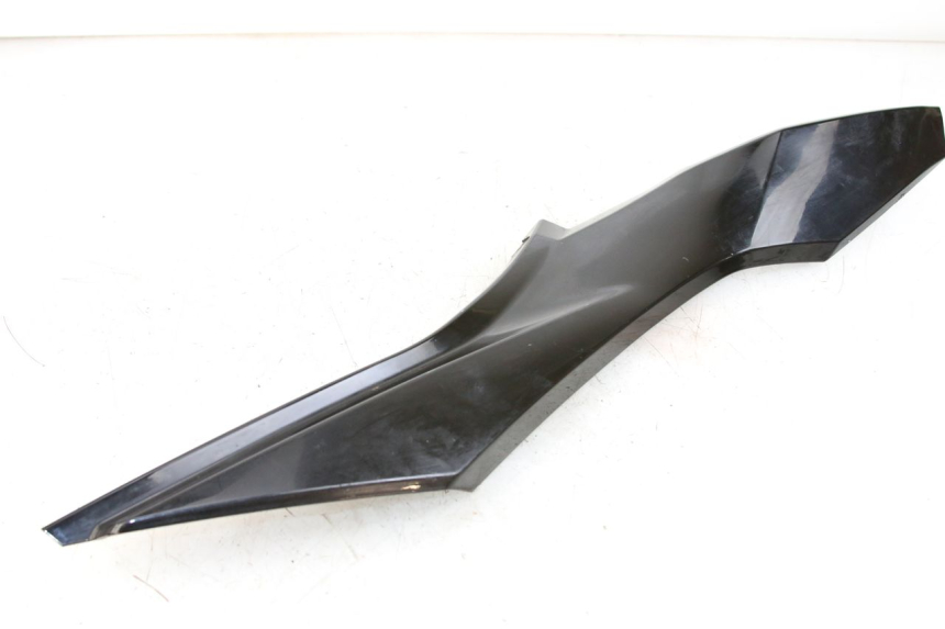 photo de TRITTBRETT VERKLEIDUNG MITTE RECHTS HONDA FORZA 125 (2015 - 2016)