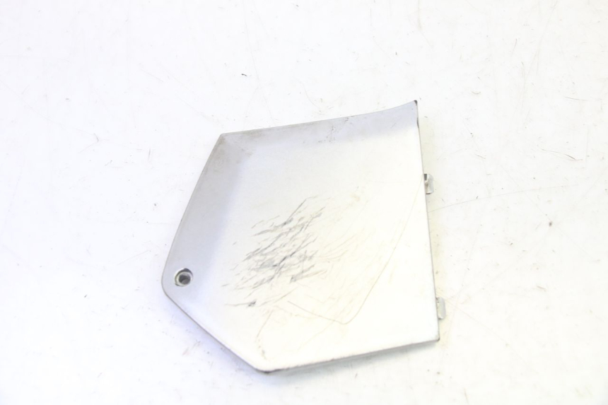 photo de TRITTBRETT VERKLEIDUNG MITTE RECHTS PIAGGIO MP3 RL 250 (2007 - 2010)