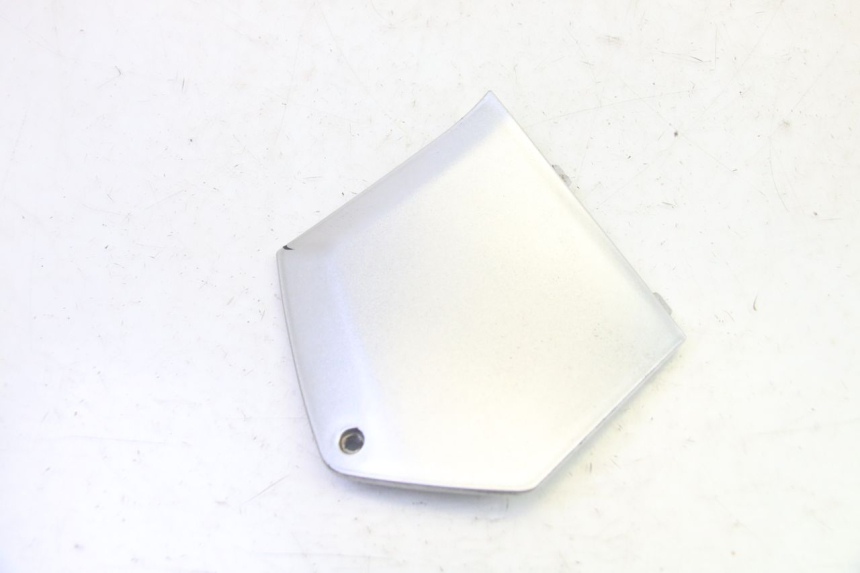 photo de TRITTBRETT VERKLEIDUNG MITTE RECHTS PIAGGIO MP3 RL 250 (2007 - 2010) - Alternative Perspektive