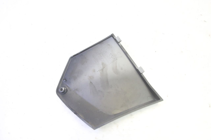 photo de TRITTBRETT VERKLEIDUNG MITTE RECHTS PIAGGIO MP3 500 (2016 - 2018) - Zoom auf Gebrauchszustand