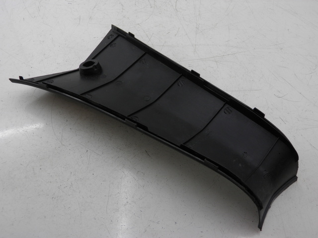 photo de TRITTBRETT VERKLEIDUNG MITTE EUROCKA MATADOR 4T 50 (2010 - 2016)