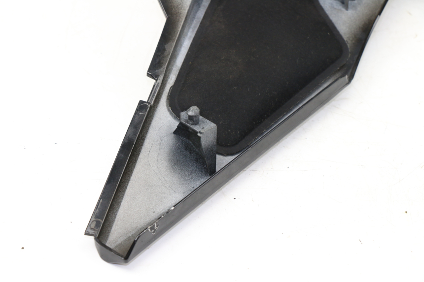 photo de TRITTBRETT VERKLEIDUNG MITTE LINKS BMW C GT 650 (2012 - 2015)