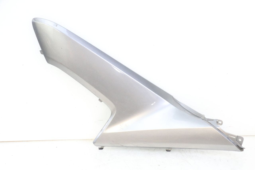 photo de TRITTBRETT VERKLEIDUNG MITTE LINKS HONDA FORZA ABS 300 (2013 - 2019)