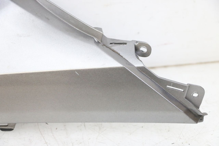 photo de TRITTBRETT VERKLEIDUNG MITTE LINKS HONDA FORZA ABS 300 (2013 - 2019)