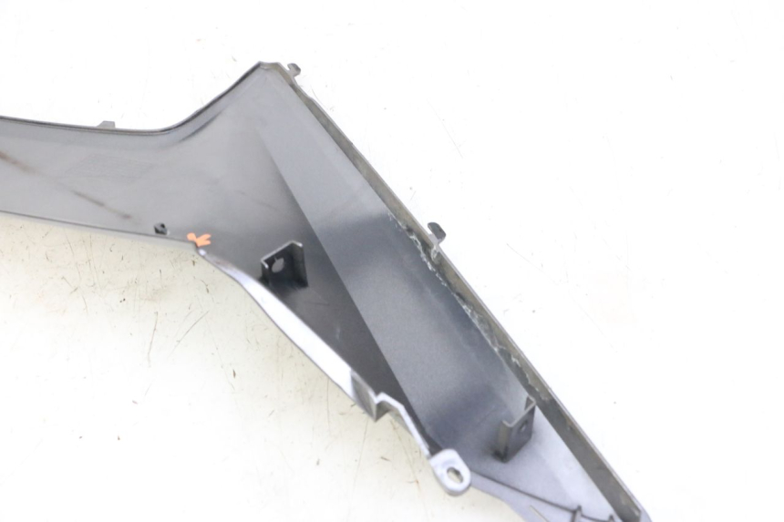 photo de TRITTBRETT VERKLEIDUNG MITTE LINKS HONDA FORZA ABS 300 (2013 - 2019)