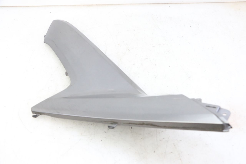 photo de TRITTBRETT VERKLEIDUNG MITTE LINKS HONDA FORZA ABS 300 (2013 - 2019)