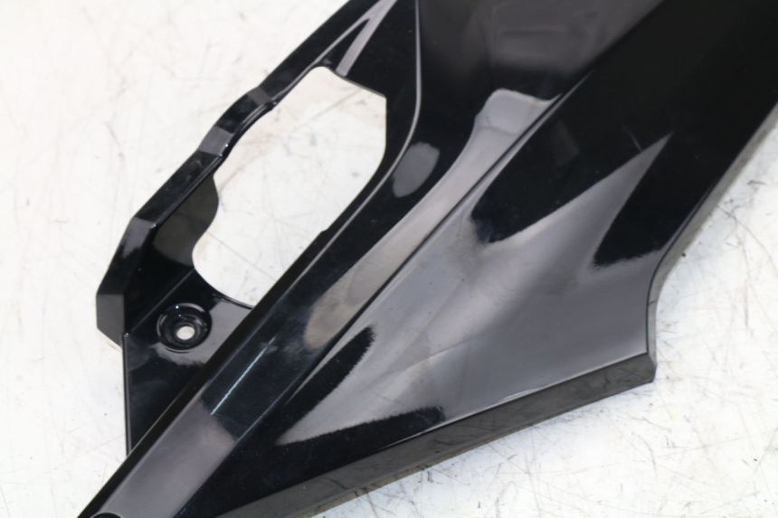 photo de TRITTBRETT VERKLEIDUNG MITTE LINKS SYM GTS EFI 125 (2012 - 2016)