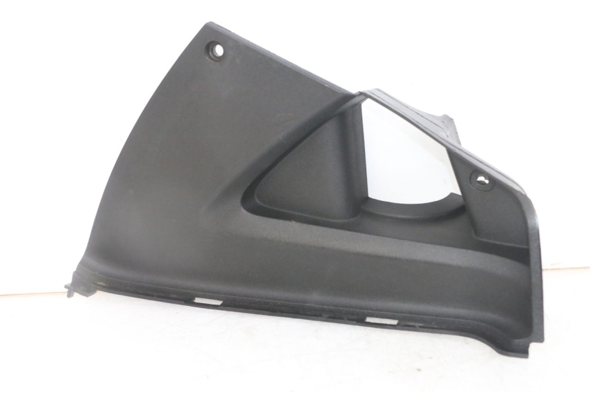 photo de TRITTBRETT VERKLEIDUNG MITTE LINKS PEUGEOT JET FORCE CARBU 50 (2003 - 2016)
