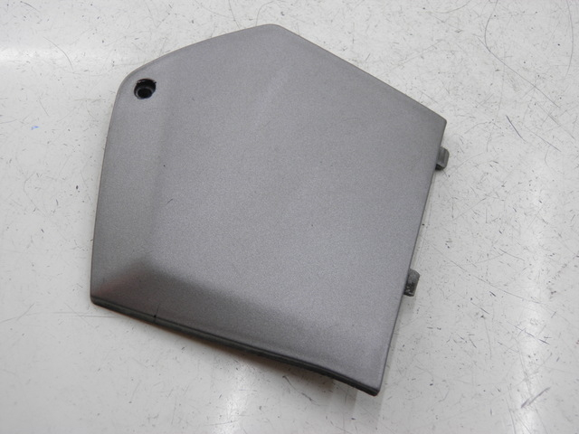 photo de TRITTBRETT VERKLEIDUNG MITTE LINKS PIAGGIO MP3 RL 125 (2006 - 2014)