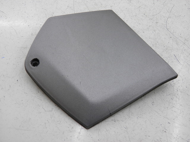 photo de TRITTBRETT VERKLEIDUNG MITTE LINKS PIAGGIO MP3 RL 125 (2006 - 2014)