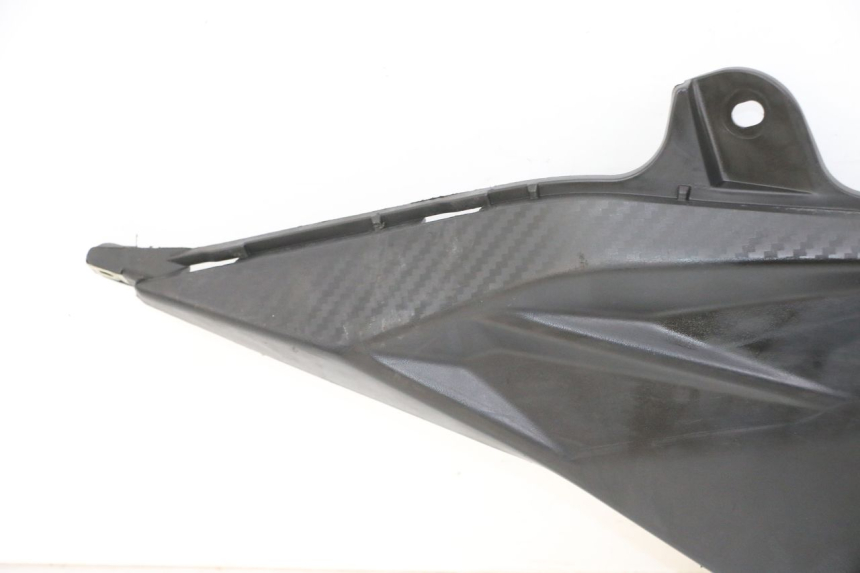 photo de RECHTER FUßRASTEN SYM ORBIT III 3 4T 50 (2018 - 2021)