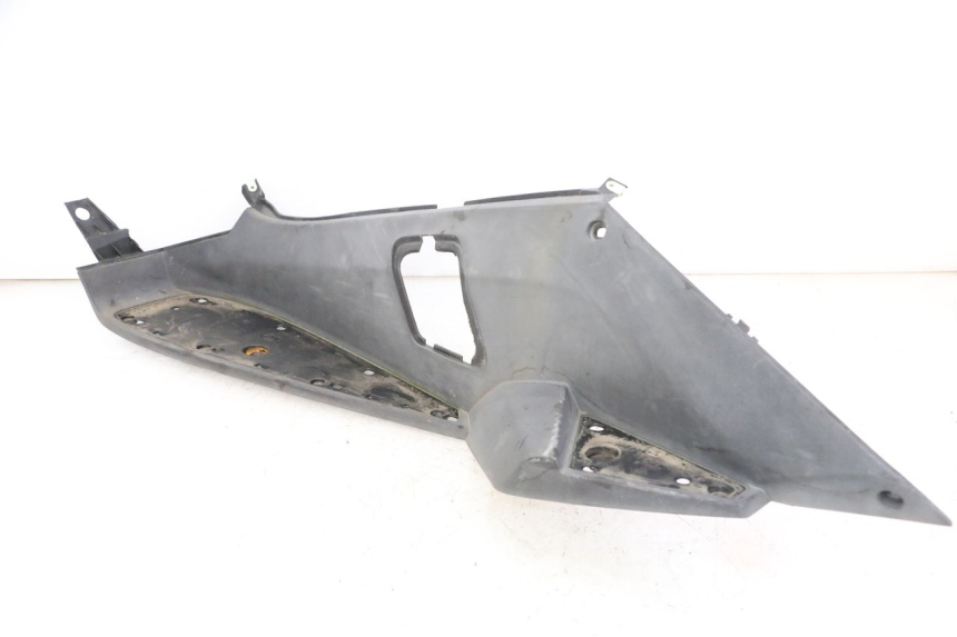 photo de TRITTBRETT VERKLEIDUNG LINKS PEUGEOT SATELIS 250 (2006 - 2012)
