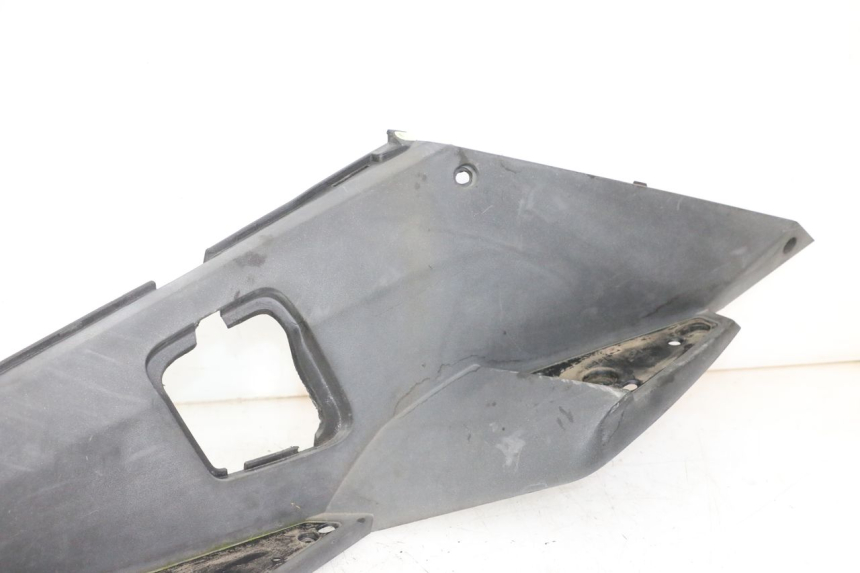 photo de TRITTBRETT VERKLEIDUNG LINKS PEUGEOT SATELIS 250 (2006 - 2012)