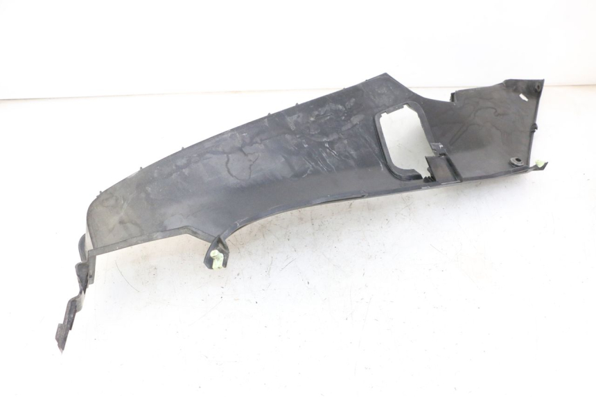 photo de TRITTBRETT VERKLEIDUNG LINKS PEUGEOT SATELIS 250 (2006 - 2012)