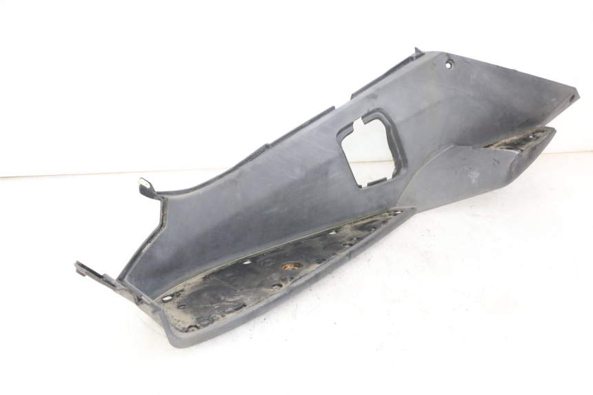 photo de TRITTBRETT VERKLEIDUNG LINKS PEUGEOT SATELIS 250 (2006 - 2012)