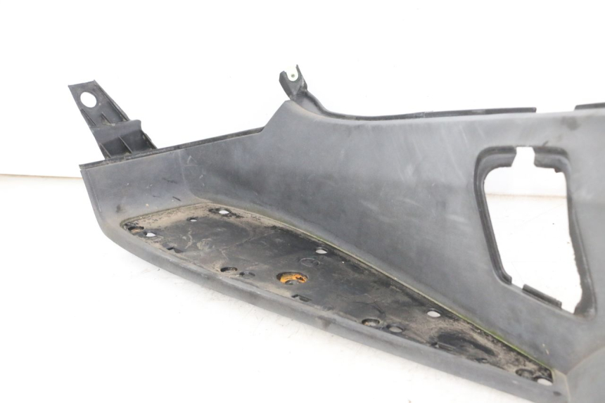 photo de TRITTBRETT VERKLEIDUNG LINKS PEUGEOT SATELIS 250 (2006 - 2012)
