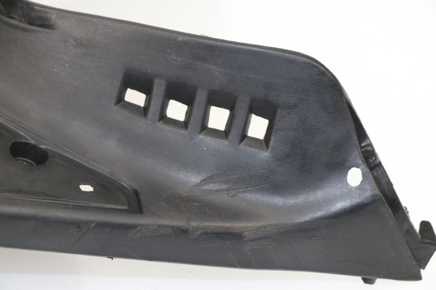 photo de TRITTBRETT VERKLEIDUNG GENERIC CRACKER 50 (2010 - 2014)