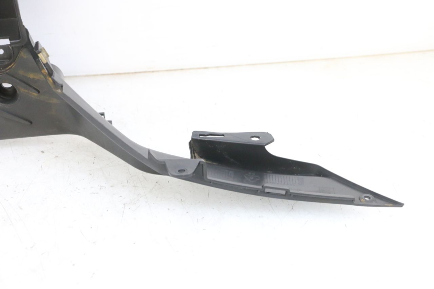 photo de TRITTBRETT VERKLEIDUNG PEUGEOT TWEET PRO EFI 4T 50 (2021 - 2022)