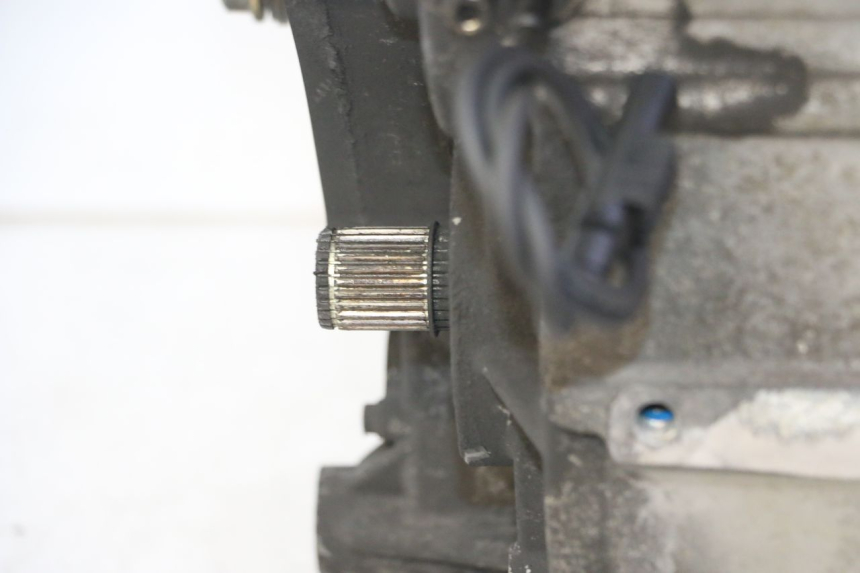 photo de MOTOR QUADRO 4 4D 350 (2015 - 2018)