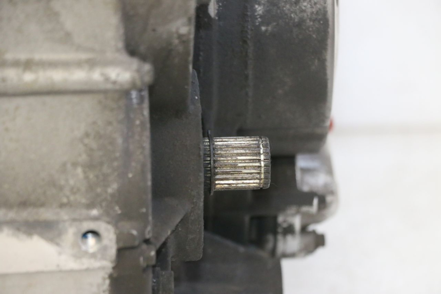photo de MOTOR QUADRO 4 4D 350 (2015 - 2018)