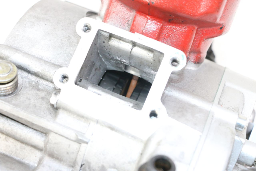 photo de MOTOR APRILIA RS 50 (1999 - 2005)