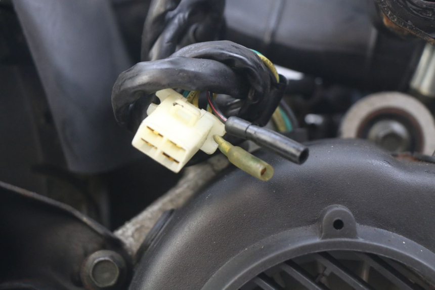 photo de MOTOR WILDLANDER BISCUIT 125 (2004 - 2010)