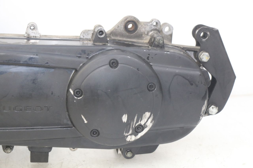 photo de MOTOR PEUGEOT CITYSTAR 2T 50 (2018 - 2021)