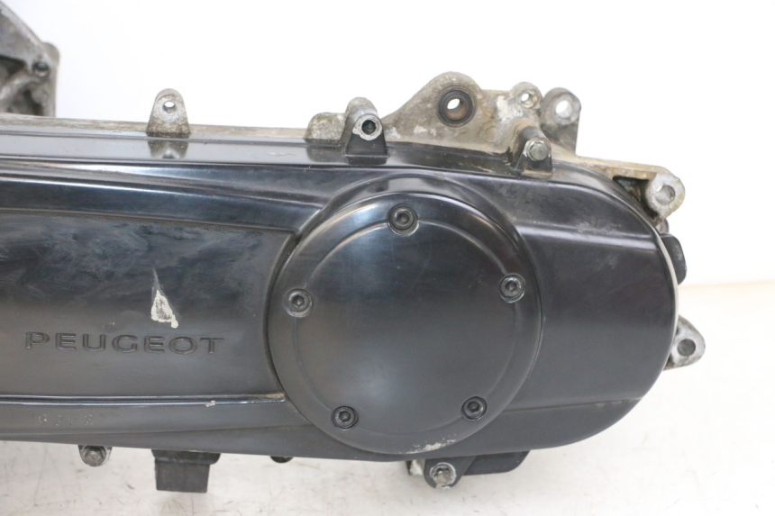 photo de MOTOR PEUGEOT CITYSTAR 2T 50 (2018 - 2021)