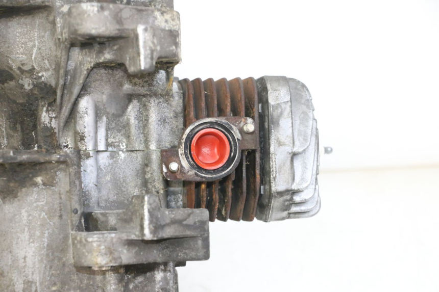 photo de MOTOR PEUGEOT CITYSTAR 2T 50 (2018 - 2021)