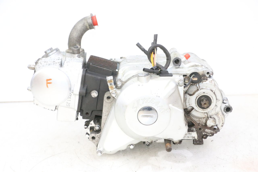 photo de MOTOR SKYTEAM DAX REPLICA 110 (2005 - 2015)