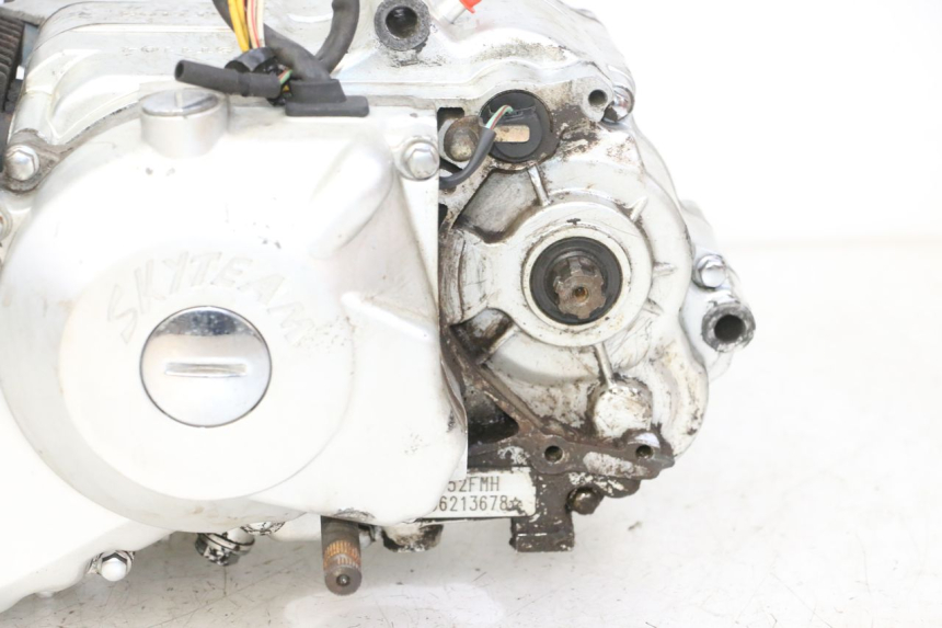 photo de MOTOR SKYTEAM DAX REPLICA 110 (2005 - 2015)