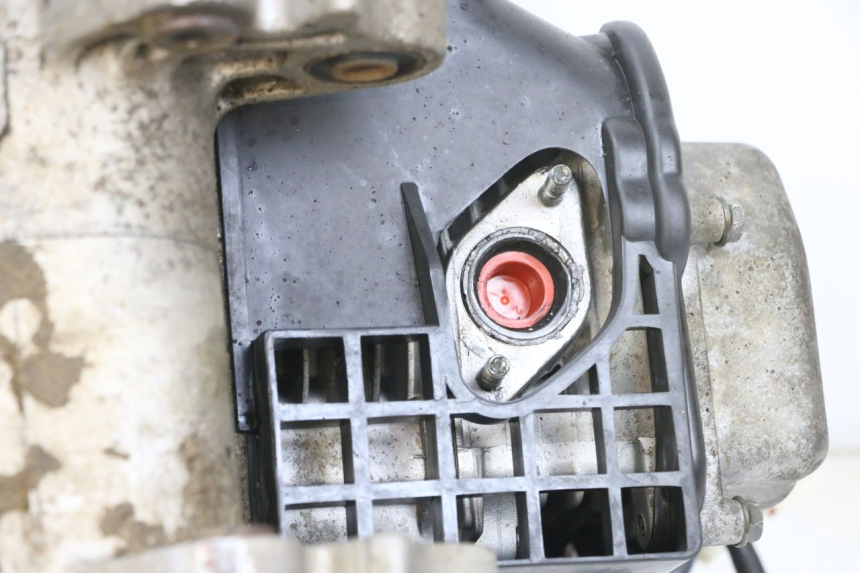 photo de MOTOR LONGJIA DIGITA 4T 50 (2019 - 2022) - Zoom auf Gebrauchszustand