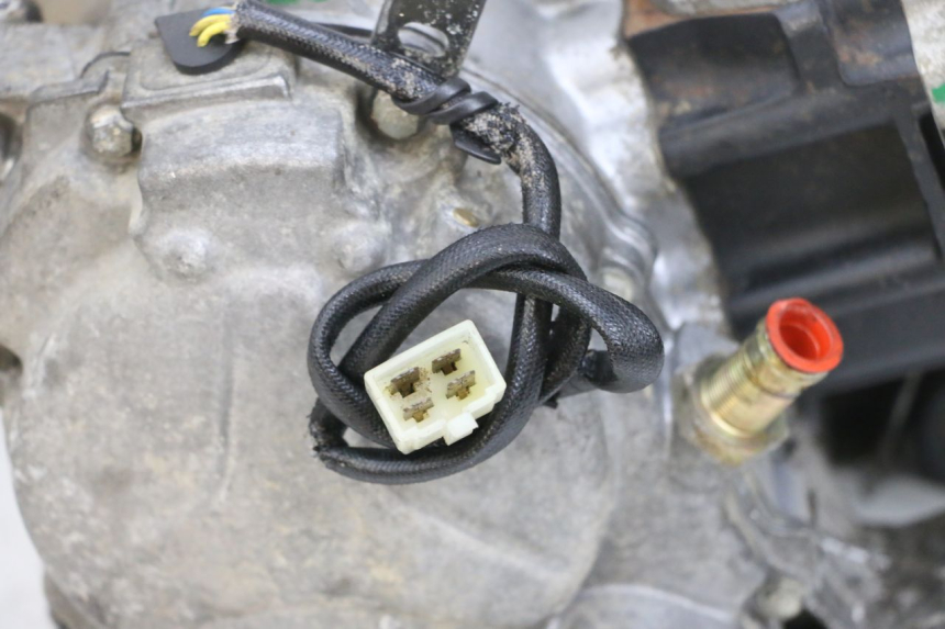 photo de MOTOR PEUGEOT ELYSEO 125 (1999 - 2004) - Geprüftes Gebrauchtteil