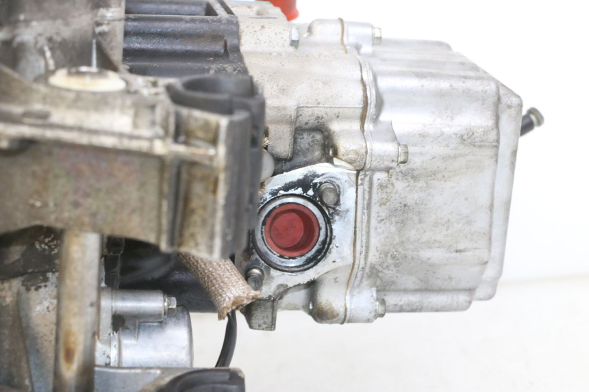 photo de MOTOR PEUGEOT ELYSTAR 125 (2002 - 2007)