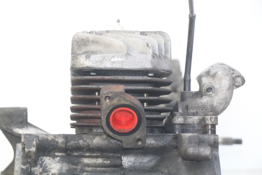 photo de MOTOR PEUGEOT ELYSTAR 50 (2002 - 2014)