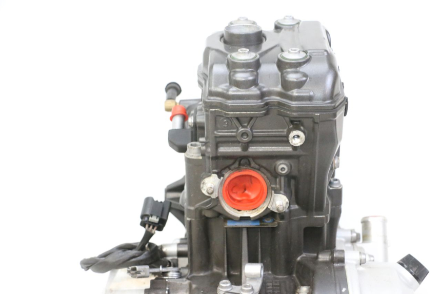 photo de MOTOR BMW G310 R 310 (2016 - 2020)