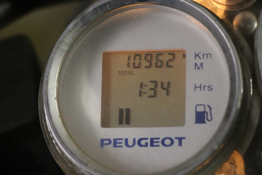 photo de MOTOR PEUGEOT GEOPOLIS RS 125 (2007 - 2009)