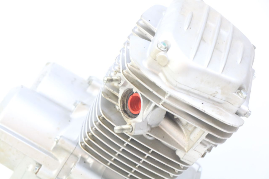 photo de MOTOR HONDA CRF CR-F 125 (2022 - 2023)