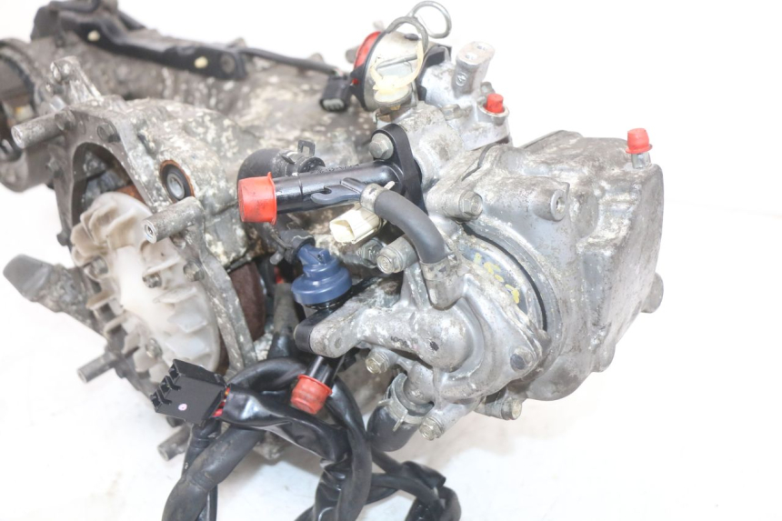 photo de MOTOR HONDA PCX (JF28) 125 (2009 - 2011)