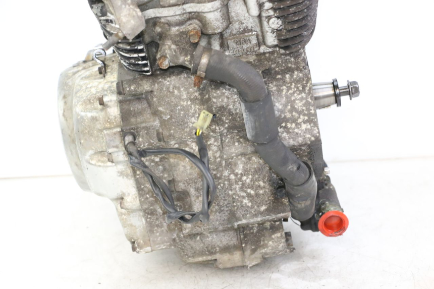 photo de MOTOR HONDA VT C2 SHADOW 750 (1997 - 2001)