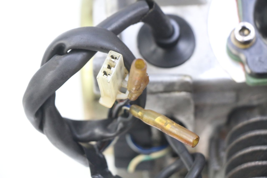photo de MOTOR IMF INDUSTRIE PACH 2T 50 (2009 - 2018)